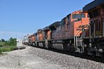 BNSF 8496 Roster shot 